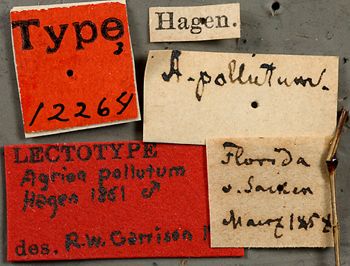 Media type: image; Entomology 12264   Aspect: labels